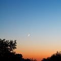 New moon in dark blue and red sky at late sunset Royalty Free Stock Photo