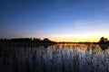 New Moon in the Sky After Sunset Royalty Free Stock Photo