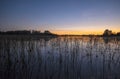 New Moon in the Sky After Sunset Royalty Free Stock Photo