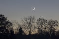 New Moon Waxing over trees