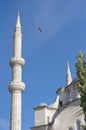New Moque or Yenicami, Istanbul Royalty Free Stock Photo