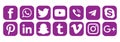 New purple color most popular social media logo icons vector.