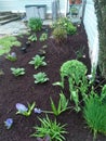 New mulch Spring season that we work hard for and turned out beautiful I ever seen