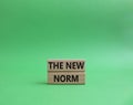 The new norm symbol. Concept words The new norm on wooden blocks. Beautiful green background. Business and The new norm concept.