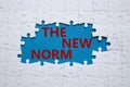 The new norm symbol. Concept words The new norm on white puzzle. Beautiful blue background. Business and The new norm concept.