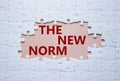 The new norm symbol. Concept words The new norm on white puzzle. Beautiful pink background. Business and The new norm concept.