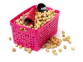 New nutcrackers tools and hazelnuts Royalty Free Stock Photo