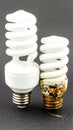 New and old light bulbs comparison, showing energy efficiency or obsolescence concept Royalty Free Stock Photo