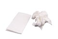 new and one used paper handkerchiefs Royalty Free Stock Photo