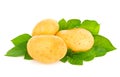 New organic potatoes with green leaf