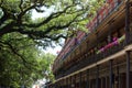 New Orleans architecture in french quarter. Royalty Free Stock Photo