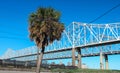 New Orleans Bridge Palm Royalty Free Stock Photo