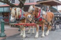 Savannah Georgia Carriage Rides