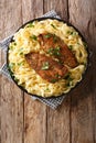 New Orleans chicken Lazone fried with spices and fettuccine past Royalty Free Stock Photo