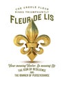 New Orleans Culture Collection Fleur de Lis