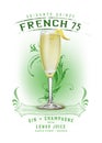 New Orleans Culture Collection French 75 Cocktail Royalty Free Stock Photo