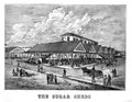 New Orleans. Engraving illustration