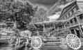 NEW ORLEANS - JANUARY 27, 2016: Black and white view Horse Carriage in front of Jackson Square. The city attracts 15 million