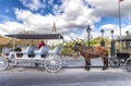 NEW ORLEANS - JANUARY 2016: Horse carriage in Jackson Square. Th