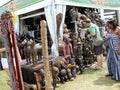 New Orleans Jazz & Heritage Festival Big Easy Style Congo Square Royalty Free Stock Photo