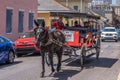 Mule-drawn Carriage Ride in the French Quarter