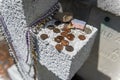 Detail of a tomb at the Lafayette Cemetery No. 1 in the city of New Orleans, Louisiana