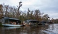 Buildings and Honey Island Swamp Tour With Jungle Forest and Tree in New Orleans,