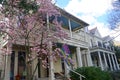 New Orleans, Louisiana, U.S.A - February 4, 2020 - Beautiful mansion with pink magnolia trees by The Garden District Royalty Free Stock Photo