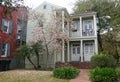 New Orleans, Louisiana, U.S.A - February 4. 2020 - A house decorated by pink magnolia trees by The Garden District