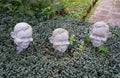 Unique lawn decoration of three head statues by The Garden District, New Orleans, Lousiana