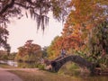 New Orleans, Louisiana, USA. December 2019. Couple take a pose in the beautiful City Park during the sunset