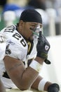 Deuce McAllister of the New Orleans Saints Royalty Free Stock Photo