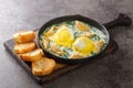 New Orleans Style Eggs Sardou Poached Eggs With Artichoke, Spinach and Hollandaise close up in the plate. Horizontal