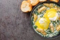 New Orleans Style Eggs Sardou Poached Eggs With Artichoke, Spinach and Hollandaise close up in the plate. Horizontal top view Royalty Free Stock Photo