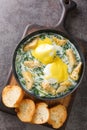 New Orleans traditional eggs sardou with spinach cream, artichokes, poached eggs and hollandaise sauce close up in the plate.