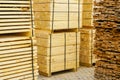 New packages of pine boards on pallets in the sawmill yard Royalty Free Stock Photo