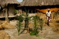 New paddy rituals Royalty Free Stock Photo