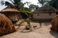 New paddy rituals Royalty Free Stock Photo