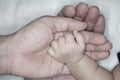 New parent holds his newborn infant baby`s hand for the first time. Parent holding newborns hand. Hand in hand. Parenthood. Mother Royalty Free Stock Photo