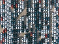 New passenger cars stand in straight rows in a giant parking lot on the territory of the automobile plant Royalty Free Stock Photo