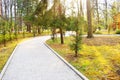 New pathway and beautiful trees track for running or walking and cycling relax in the park on green grass field in the city park Royalty Free Stock Photo