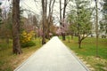 New pathway and beautiful trees track for running or walking and cycling relax in the park on green grass field in the city park Royalty Free Stock Photo