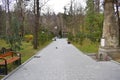 New pathway and beautiful trees track for running or walking and cycling relax in the park on green grass field in the city park Royalty Free Stock Photo