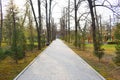 New pathway and beautiful trees track for running or walking and cycling relax in the park on green grass field in the city park Royalty Free Stock Photo