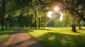 New pathway and beautiful trees track for running or walking and cycling relax in the park on green grass field on the Royalty Free Stock Photo