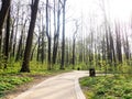 New pathway and beautiful trees track for running or walking and cycling relax in the park on green grass field on the side of the Royalty Free Stock Photo