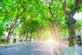 New pathway, Road and beautiful trees track for running or walking and cycling relax in the green park Sunlight. Royalty Free Stock Photo