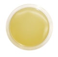 A new petri dish with yellow agar media