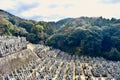 Temple of Kyoto Japan 2018 new