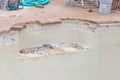 New pool brick coping work and repair Royalty Free Stock Photo